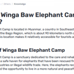 Where Is The Winga Baw Elephant Camp Found?